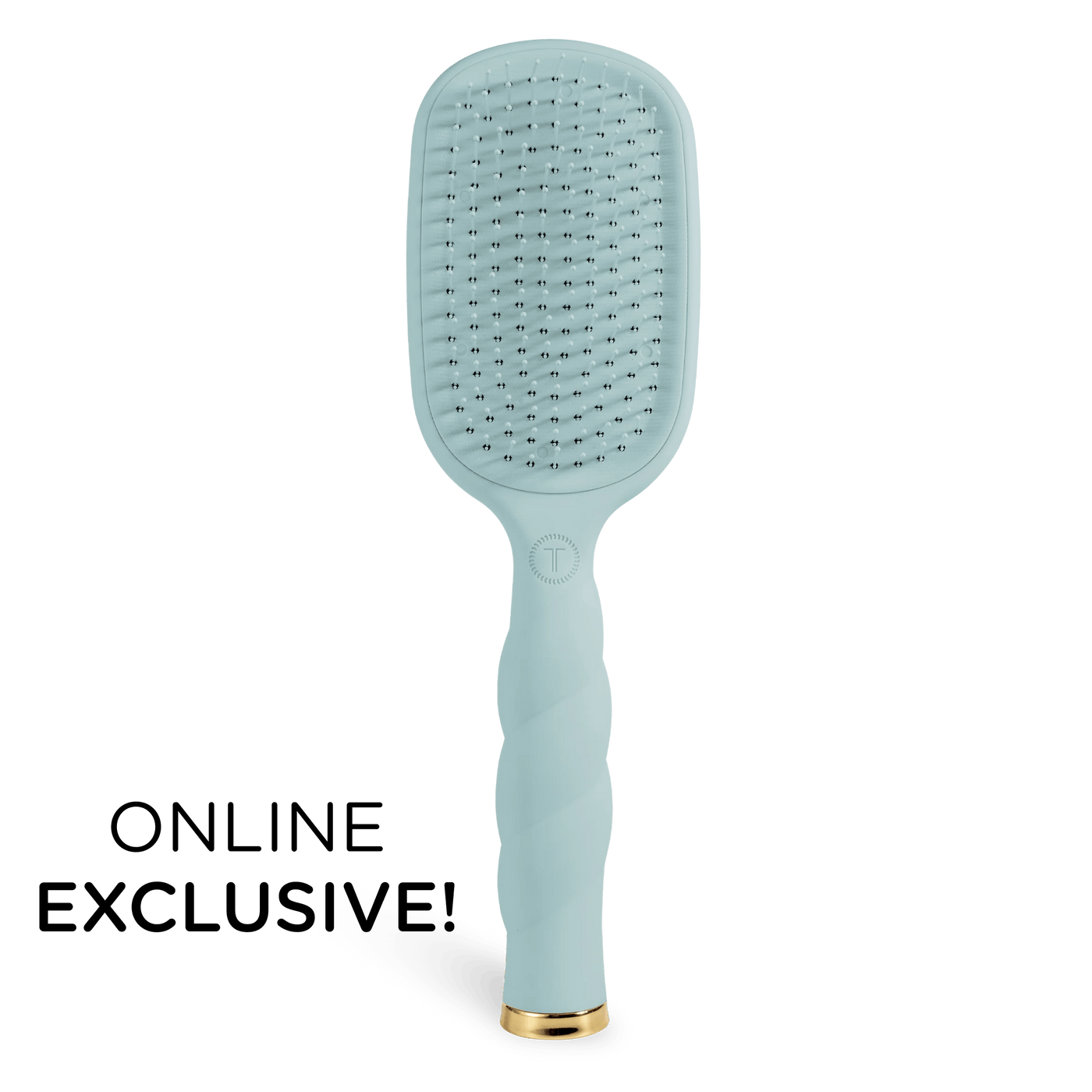 Detangler Hair Brush for Thick Hair – Blue