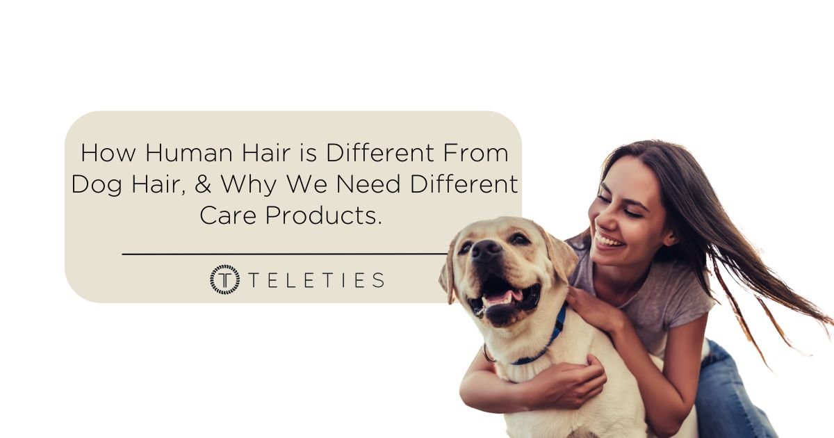 How a Dog’s Hair (Fur) is Different Than Human Hair