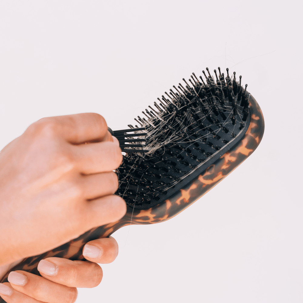 Boar Bristle Hair Brush - Tortoise