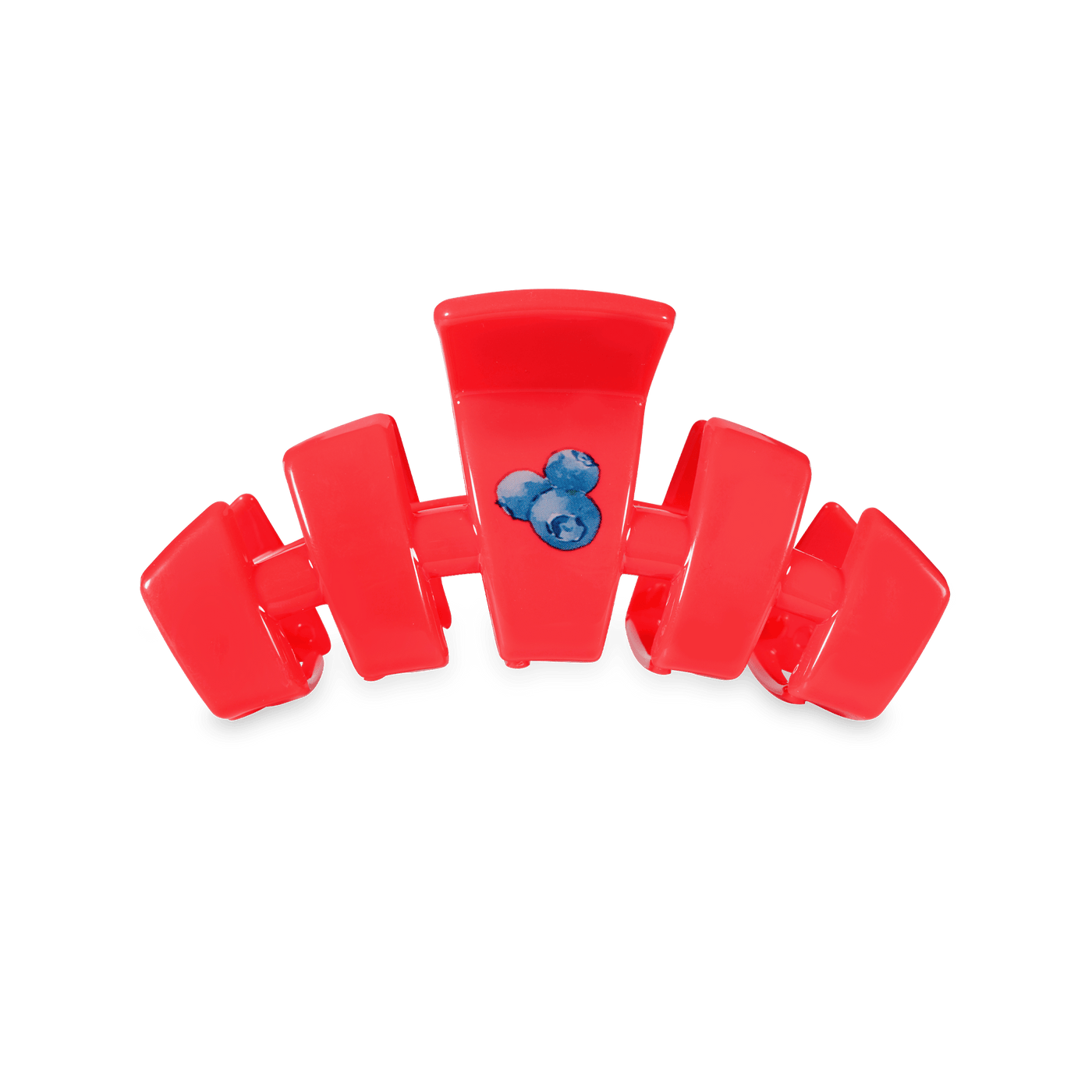 Classic Blueberry Farms Small Claw Clip
