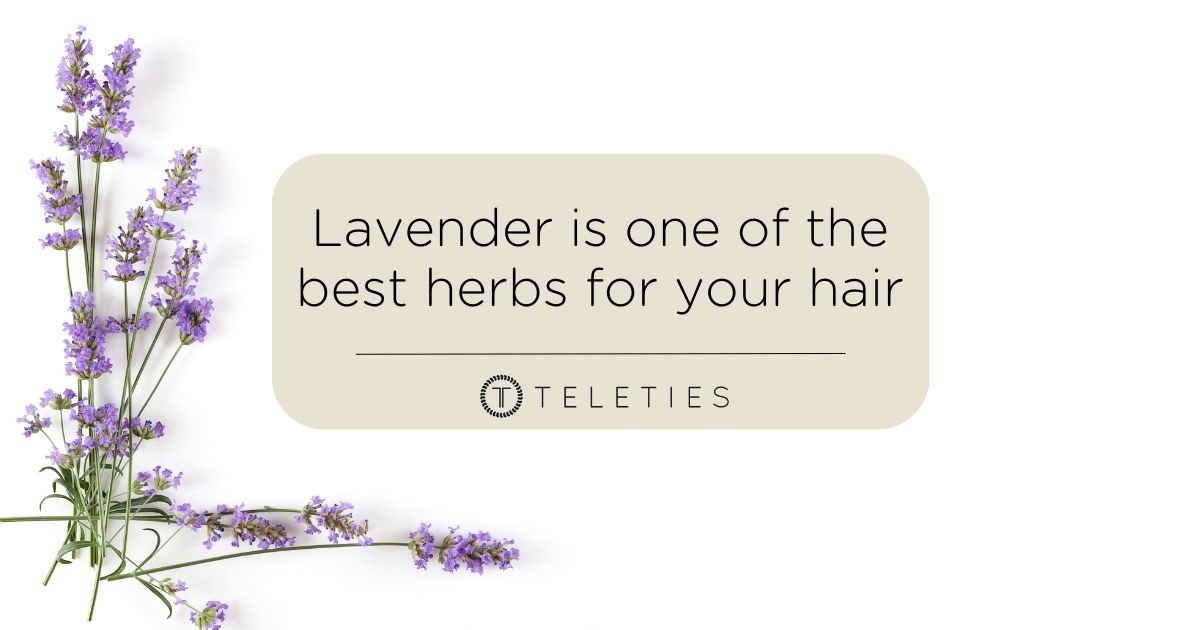 Lavender is a Top Herb for Hair and Scalp Health